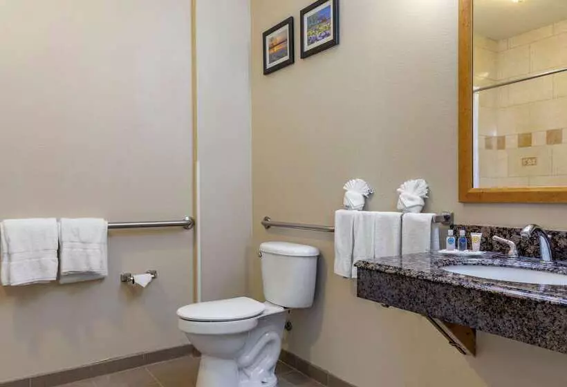 ホテル Comfort Suites Plano   Dallas North