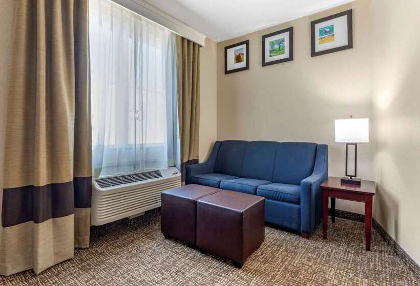 호텔 Comfort Suites Plano   Dallas North