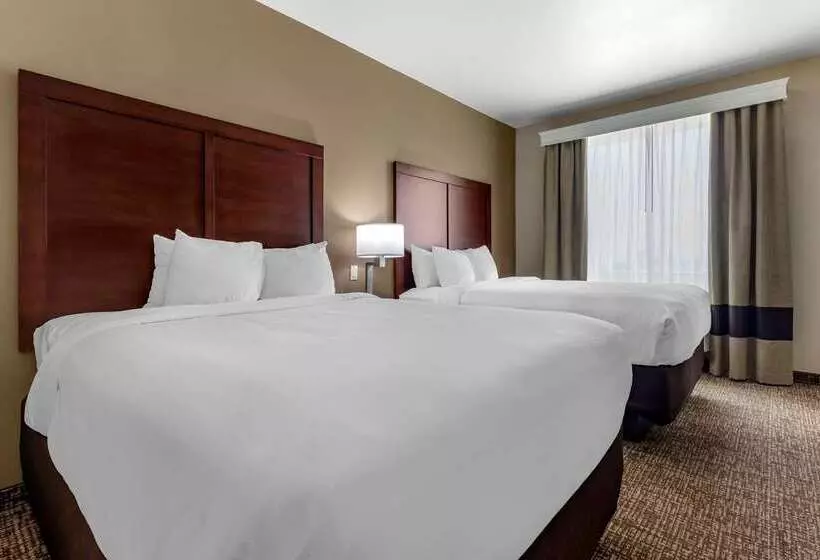 ホテル Comfort Suites Plano   Dallas North