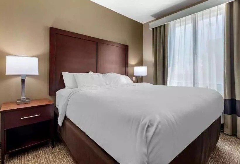 ホテル Comfort Suites Plano   Dallas North