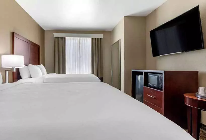 ホテル Comfort Suites Plano   Dallas North