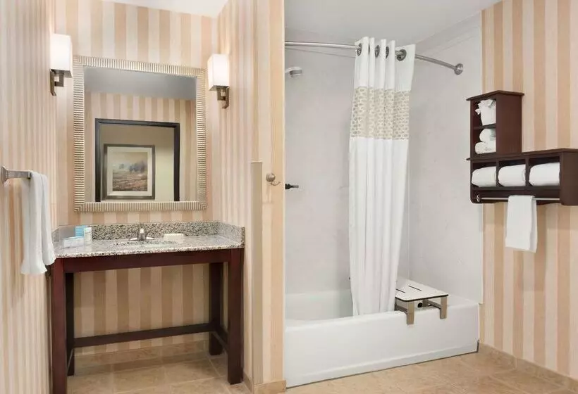 בית מלון כפרי Hampton Inn Spearfish