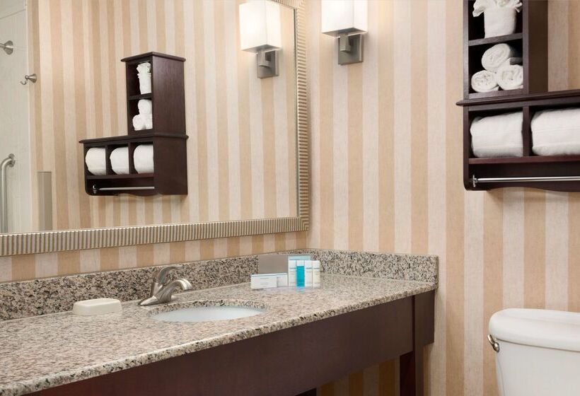 בית מלון כפרי Hampton Inn Spearfish