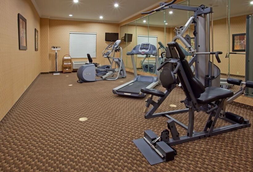 Holiday Inn Express Hotel & Suites Vidor South By Ihg