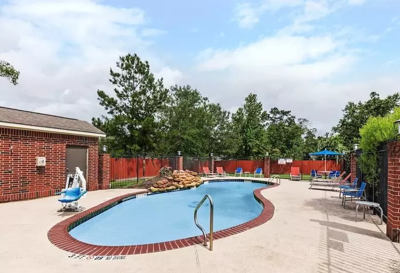 Holiday Inn Express Hotel & Suites Vidor South By Ihg