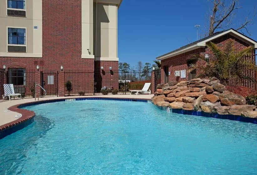 Holiday Inn Express Hotel & Suites Vidor South By Ihg