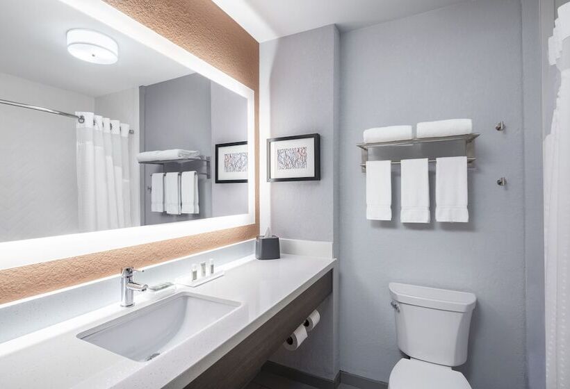 فندق Holiday Inn Odessa, An Ihg