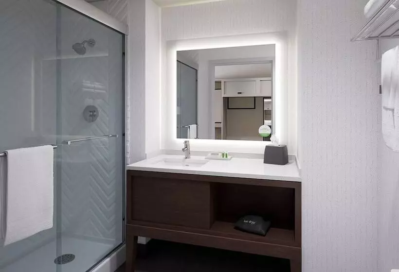 Hotel Holiday Inn Odessa, An Ihg