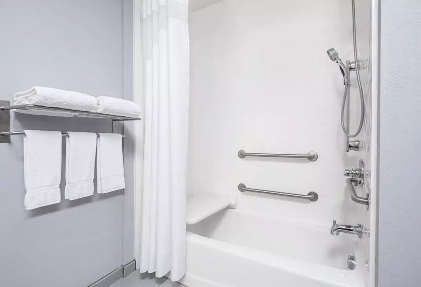 Hotel Holiday Inn Odessa, An Ihg