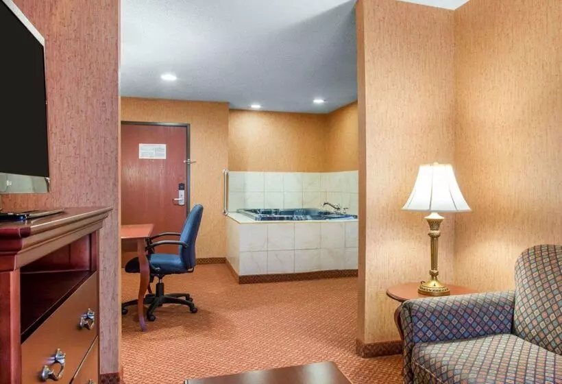 酒店 Quality Inn & Suites