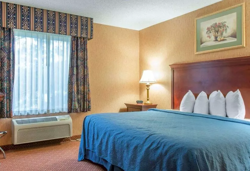 酒店 Quality Inn & Suites