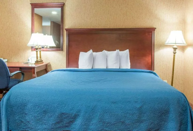 酒店 Quality Inn & Suites