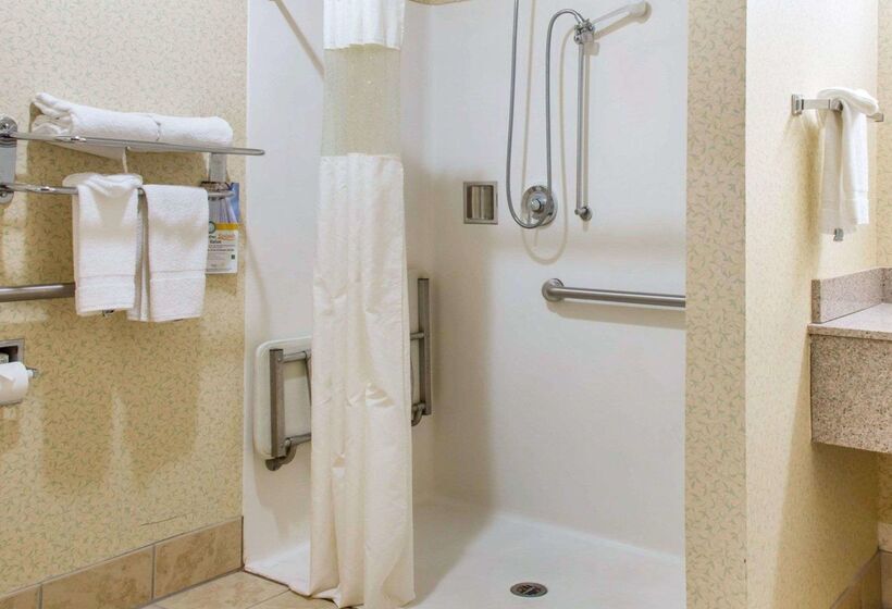 ホテル Quality Inn & Suites