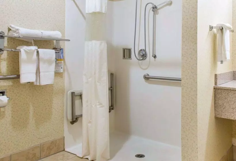 酒店 Quality Inn & Suites