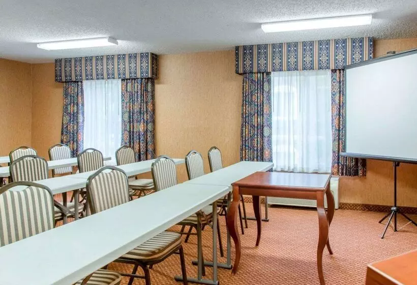 酒店 Quality Inn & Suites