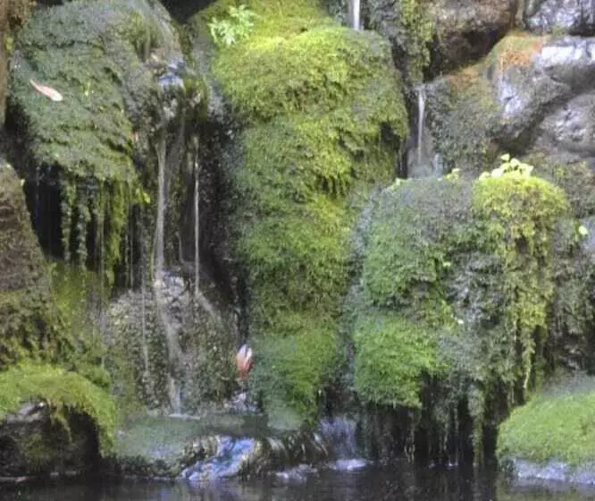 Отель Saga Grace