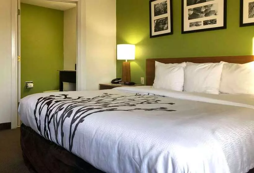 Отель Sleep Inn Hardeeville I 95