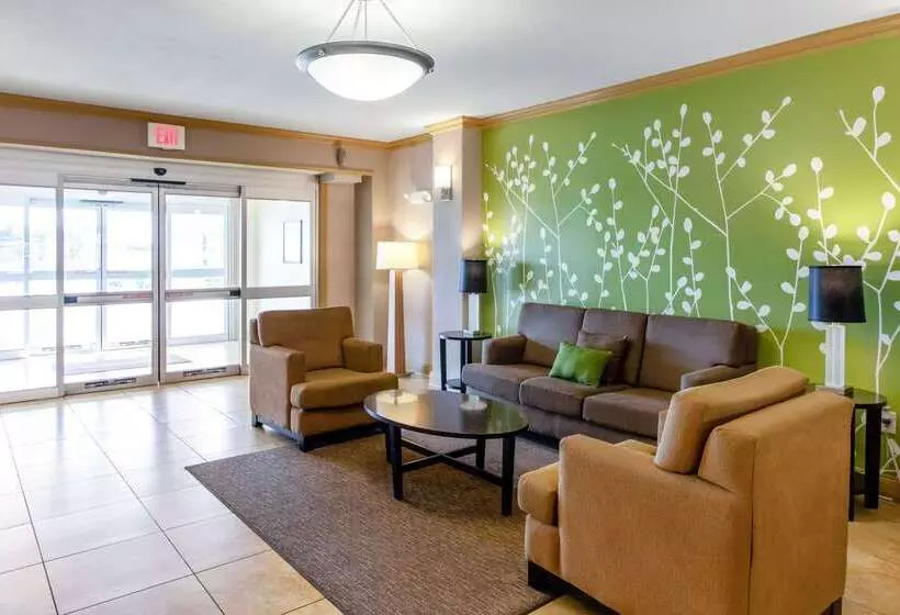 호텔 Sleep Inn & Suites Near Fort Cavazos
