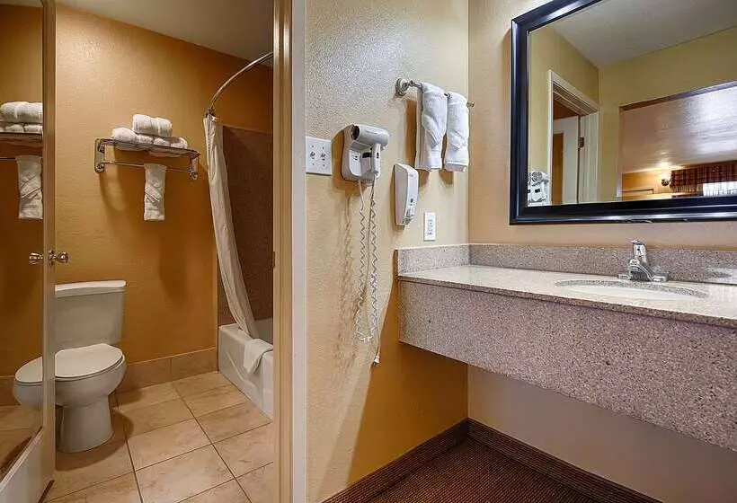 فندق Best Western Executive Inn