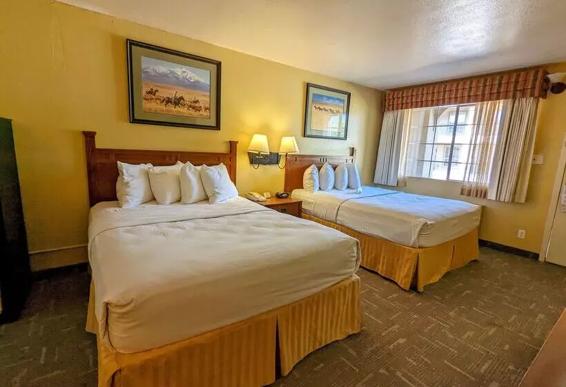 فندق Best Western Executive Inn