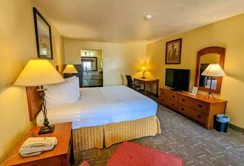 فندق Best Western Executive Inn