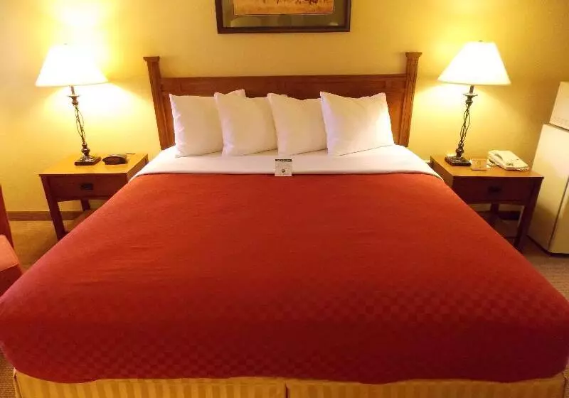 فندق Best Western Executive Inn