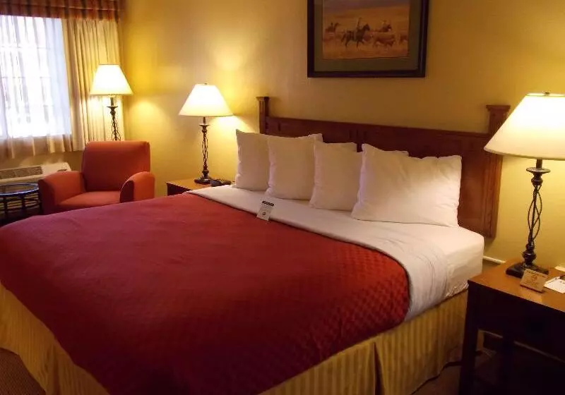 فندق Best Western Executive Inn