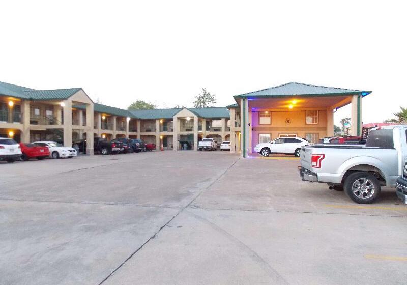 酒店 Best Western Executive Inn