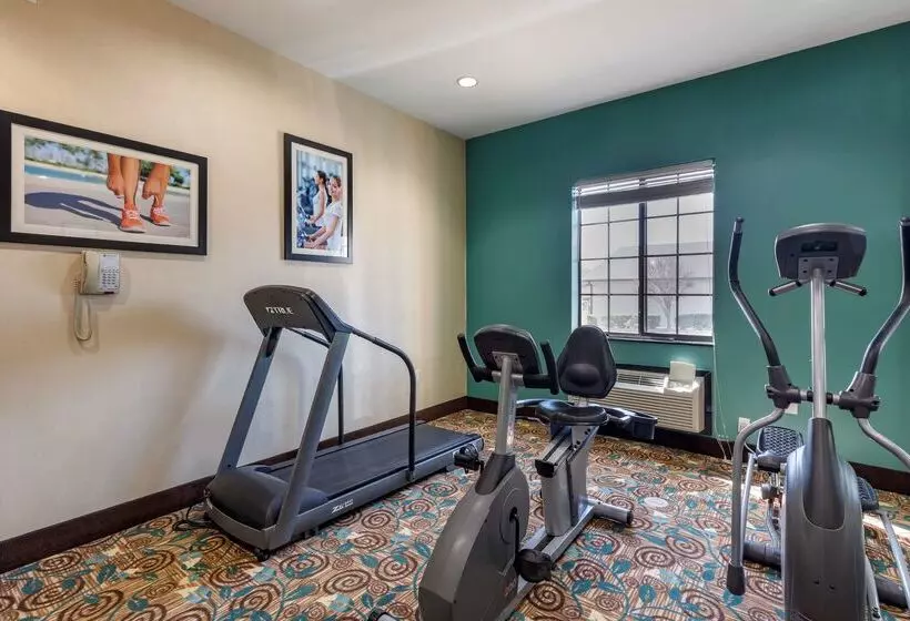 酒店 Best Western Mineola Inn