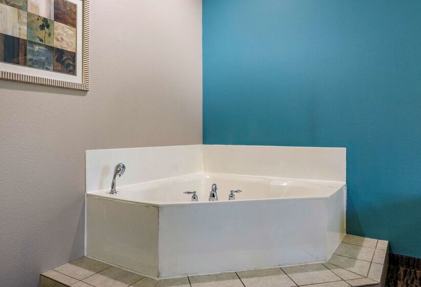 فندق Best Western Mineola Inn