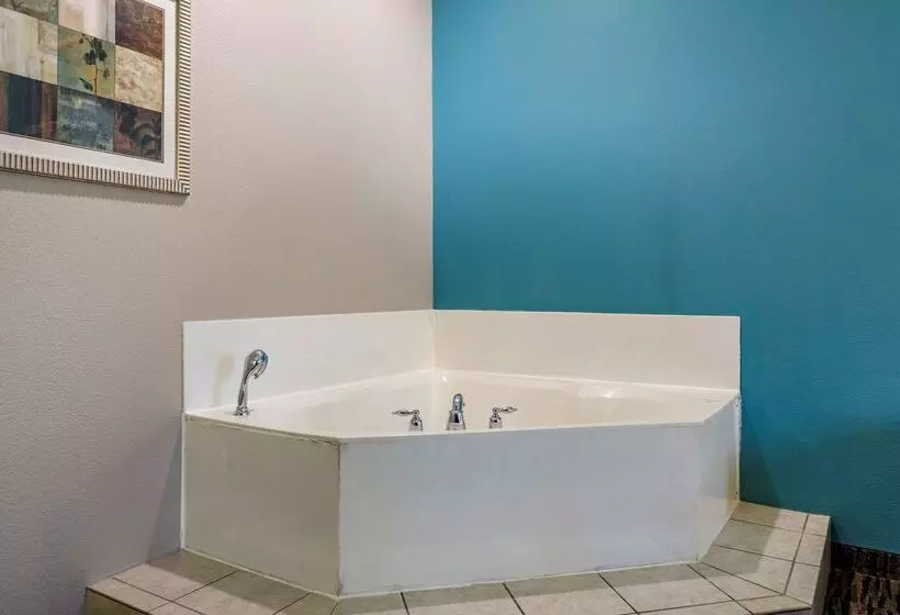 酒店 Best Western Mineola Inn