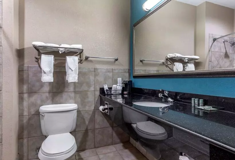 酒店 Best Western Mineola Inn