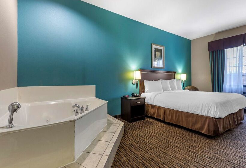 فندق Best Western Mineola Inn