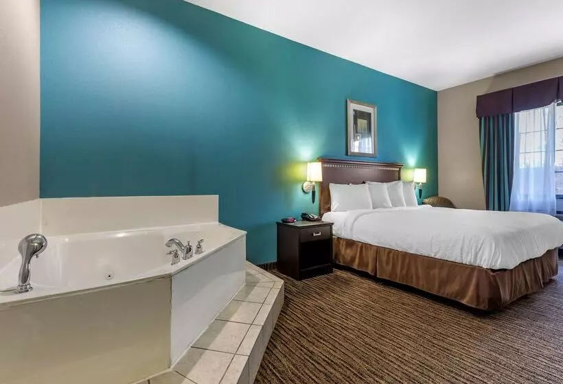 酒店 Best Western Mineola Inn