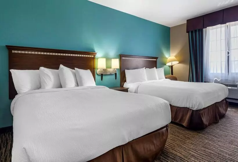 酒店 Best Western Mineola Inn