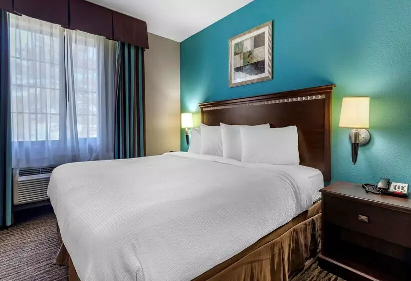 酒店 Best Western Mineola Inn