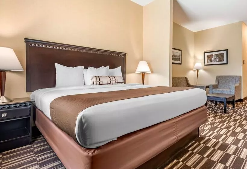 酒店 Best Western Plus Victor Inn & Suites