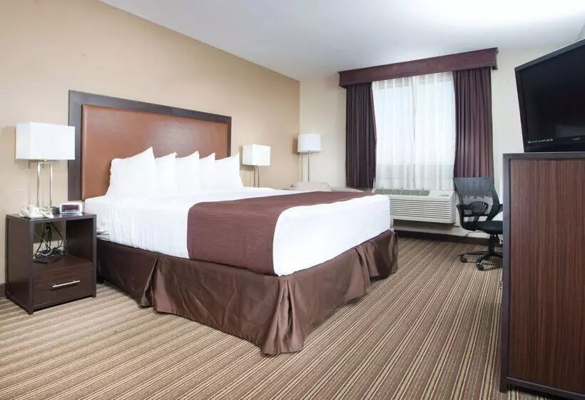 호텔 Best Western Post Inn