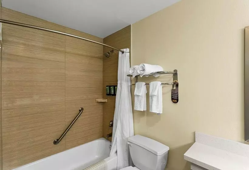 Отель Best Western Rose Quartz Inn