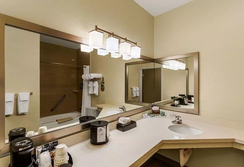 Отель Best Western Rose Quartz Inn