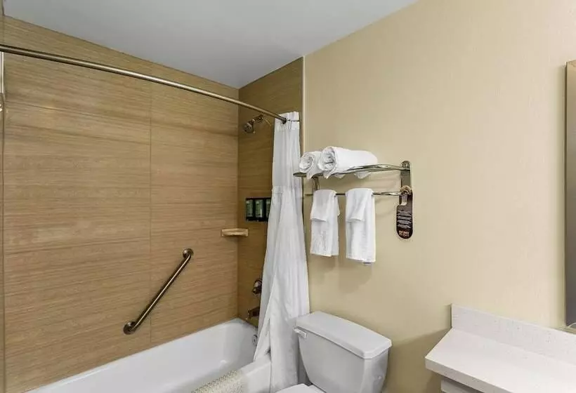 Отель Best Western Rose Quartz Inn