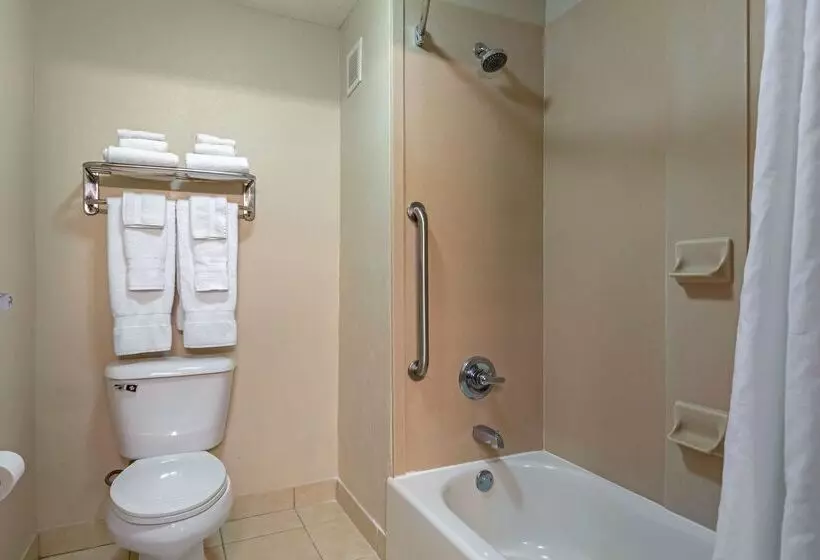 호텔 Best Western Seminole Inn And Suites