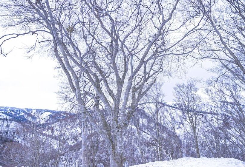 בית מלון כפרי Hakkoda