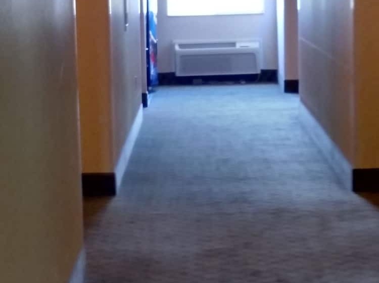 酒店 Holiday Inn Express Toledo West   Napoleon By Ihg