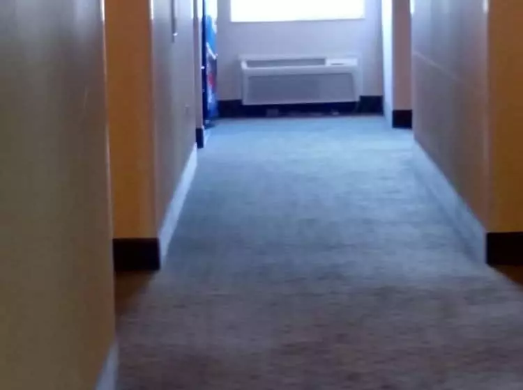 فندق Holiday Inn Express Toledo West Napoleon By Ihg