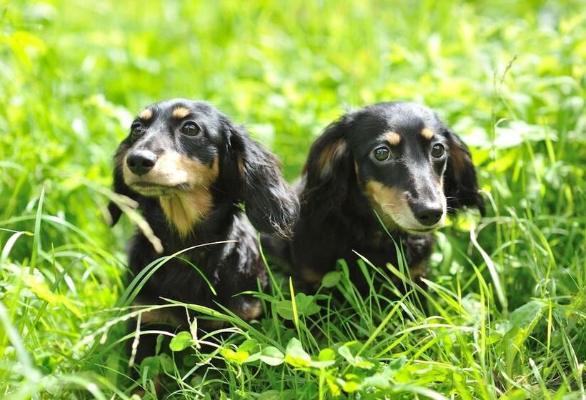 فندق Mogamitakayu Zenshichinoyu Ohira