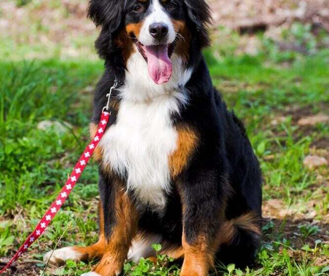 فندق Mogamitakayu Zenshichinoyu Ohira