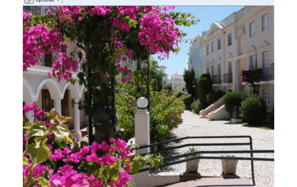 Apartamentos Turisticos Old Village