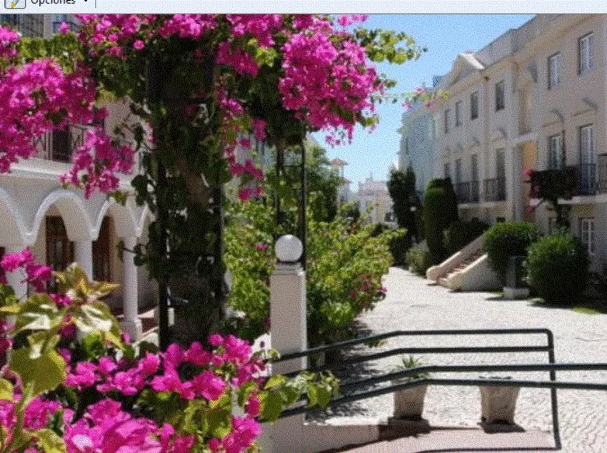 Apartamentos Turisticos Old Village