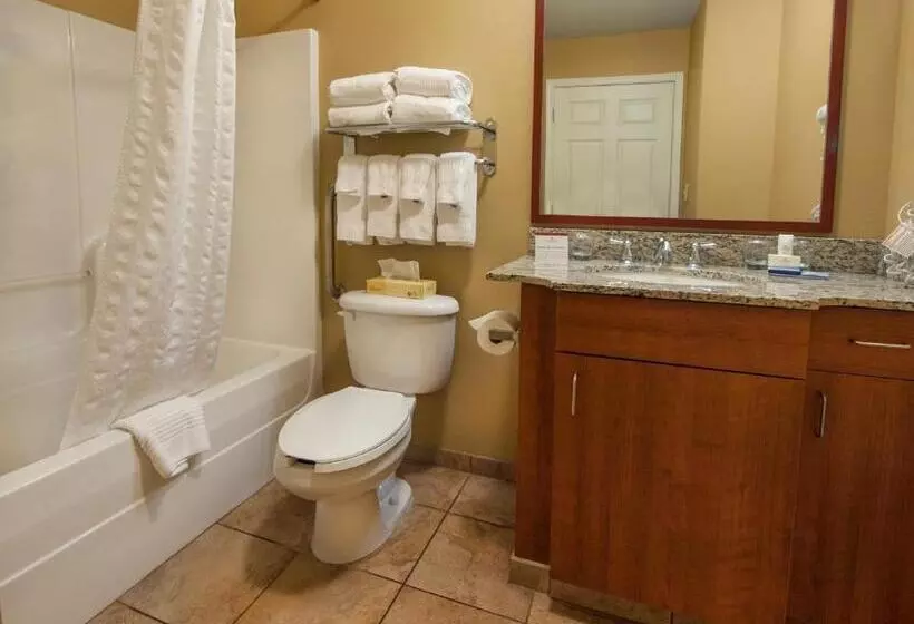 Candlewood Suites Buffalo Amherst, An Ihg